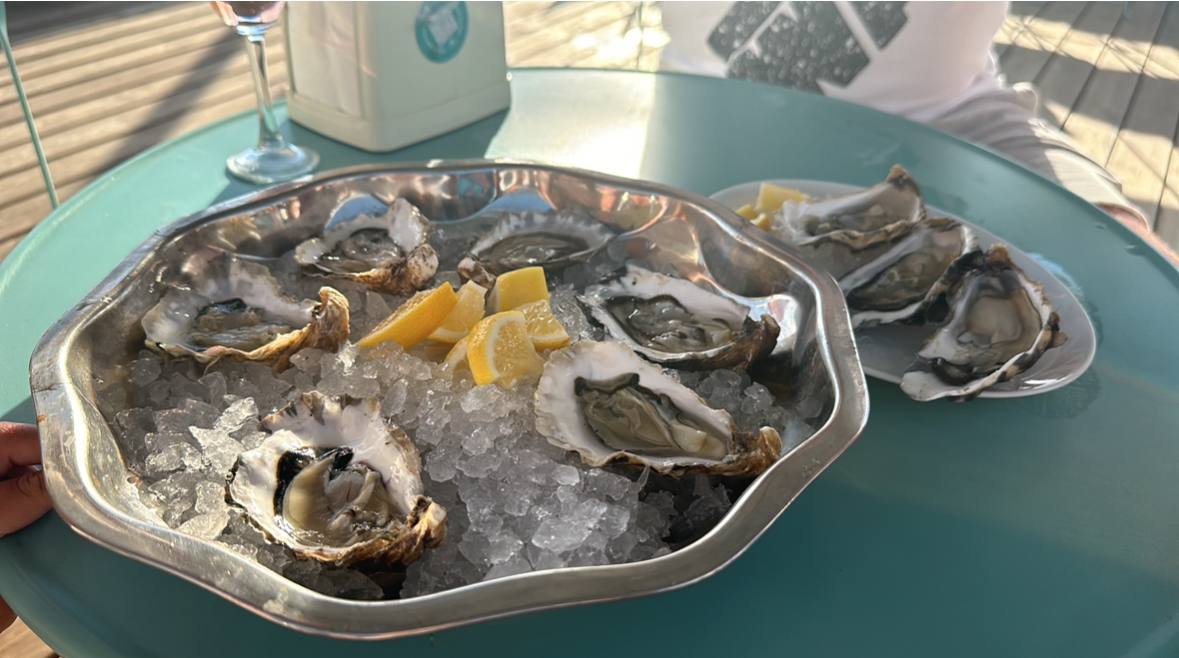 Устрицы рядом с домом отдыха в Штормовом